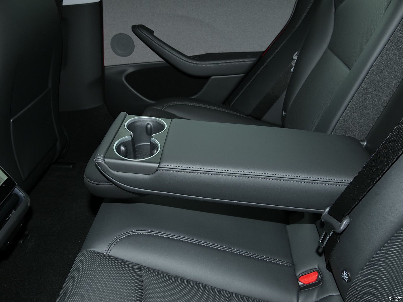 Bringing Pets Along? Accessories to Protect Your Tesla Interior