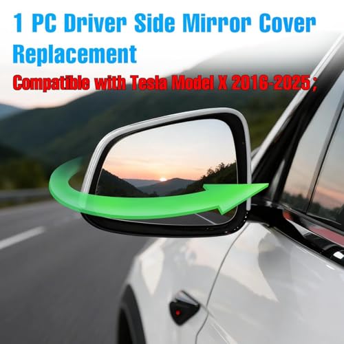 Thetapai Model X Mirror Cover Front Left Pearly White